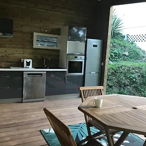Colibri , D'arlet 200 M , Les Anses-d'Arlet Martinique