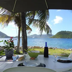 Anolis Face A La A 2 Min De La Plage. , Terre-De-Haut Guadeloupe
